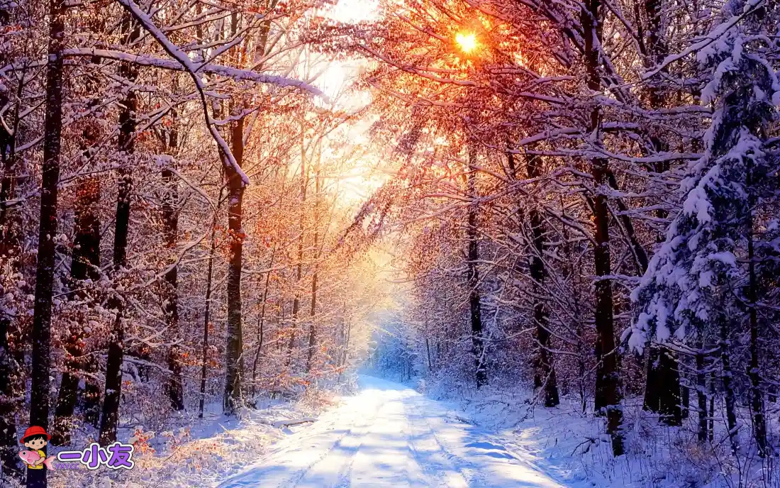 人终究还是要靠自己