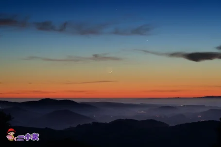 我唯一能做的, 就是允许