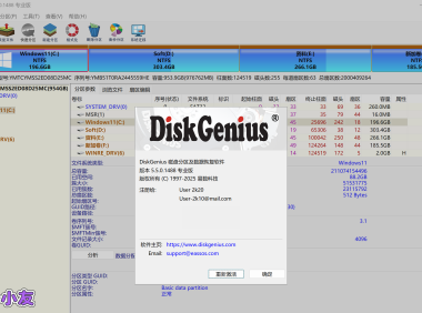 DiskGenius Pro 5.5.0