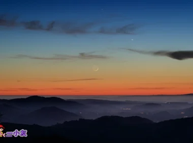 我唯一能做的， 就是允许